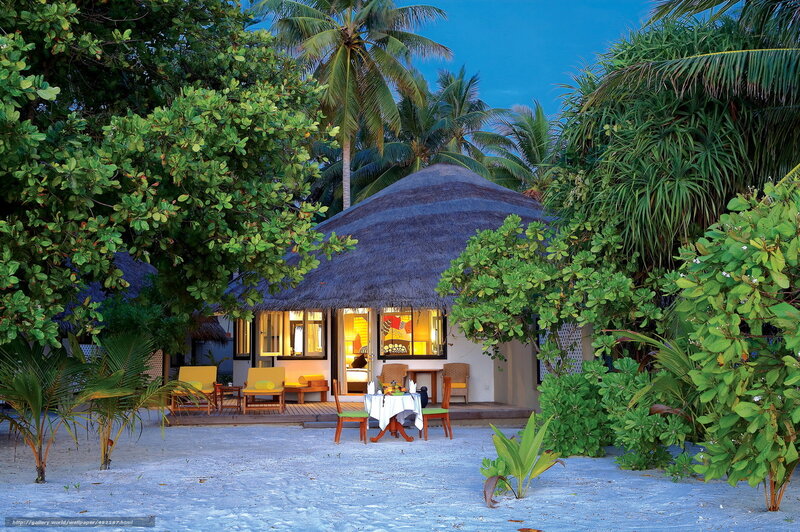 Thatched-roof Bungalow — Green, Serene, Night, Photograph
