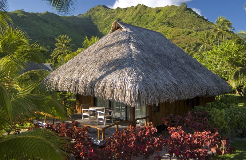 Thatched-roof Bungalow — Green, Serene
