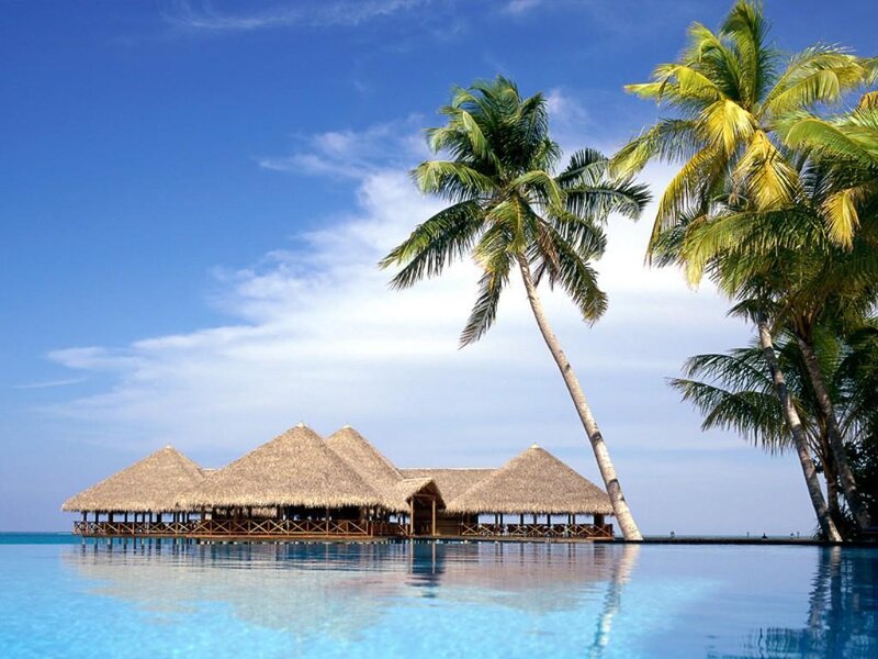 Thatched-roof Bungalows — Blue, Serene, Afternoon, Photograph, Palm Trees, Pool, Ocean, Green