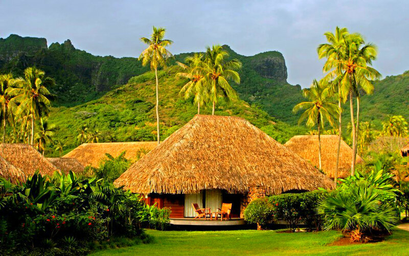 Thatched-roof Bungalows — Green, Serene