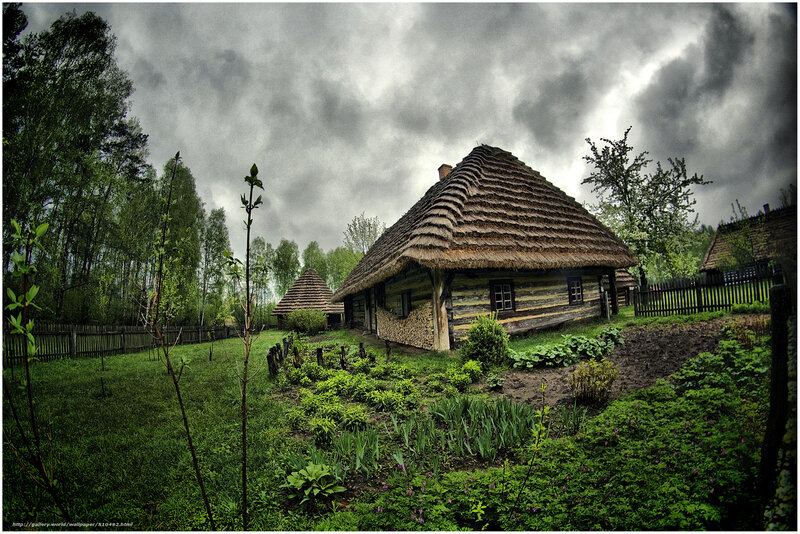 Thatched-roof Cabin