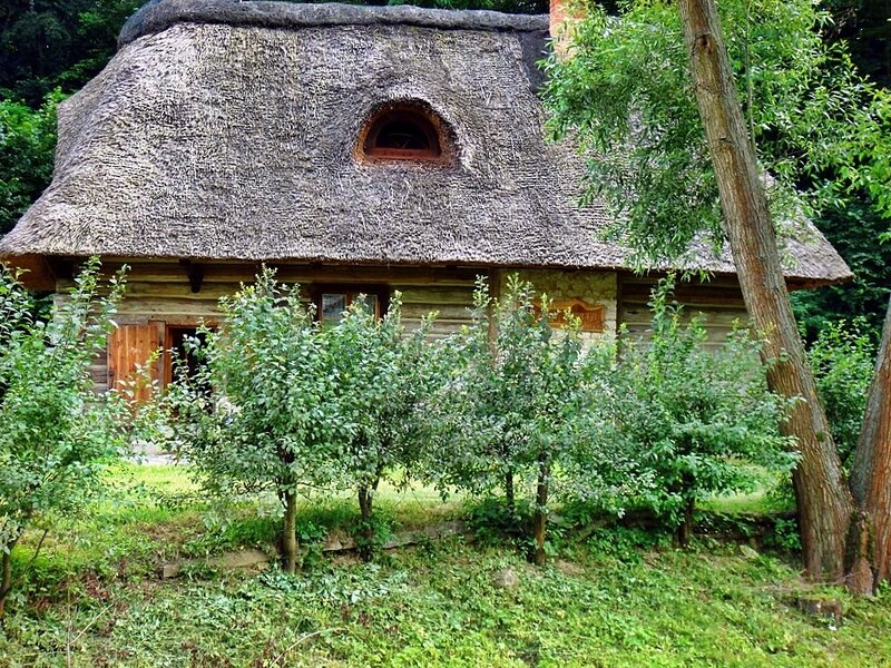 Thatched-roof Cottage