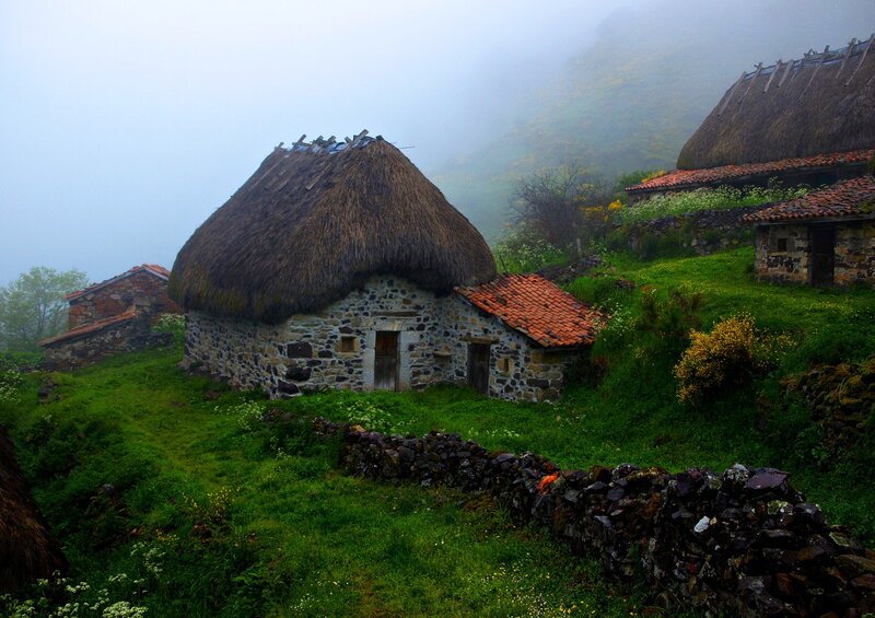 Thatched-roof Cottages — Green, Misty