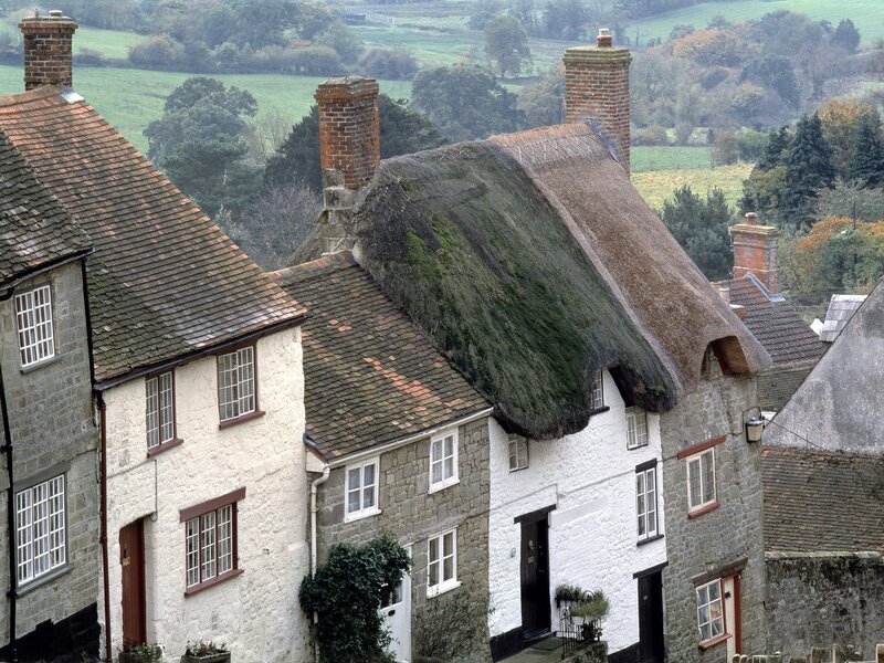 Thatched-roof cottages in a village