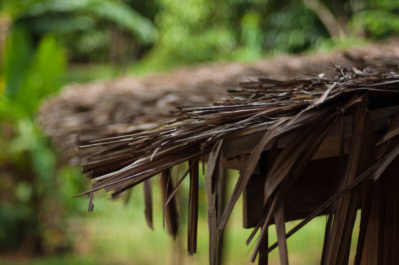 Thatched Roof Edge
