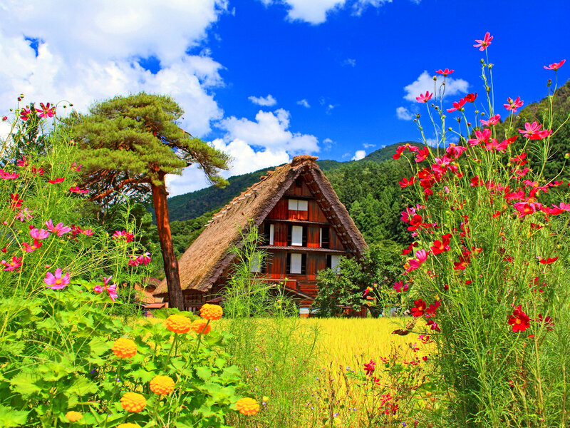Thatched-roof House — Blue, Serene, Summer
