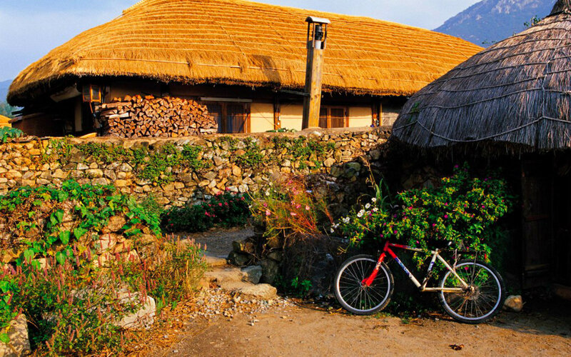 Thatched-roof House — Brown