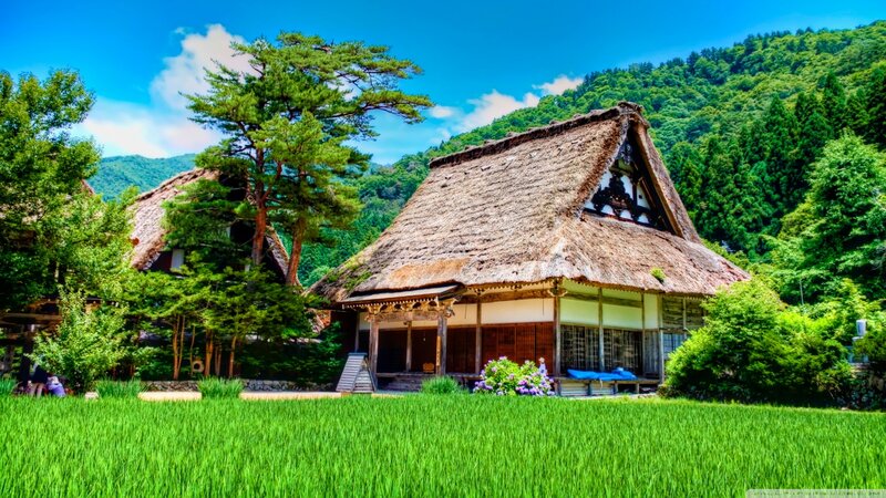 Thatched-roof House — Green, Serene, Afternoon, Photograph