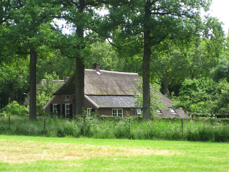 Thatched-roof House — Green, Serene, Afternoon, Photograph, Trees