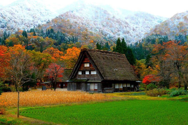 Thatched-roof House — Green, Serene, Autumn, Photograph