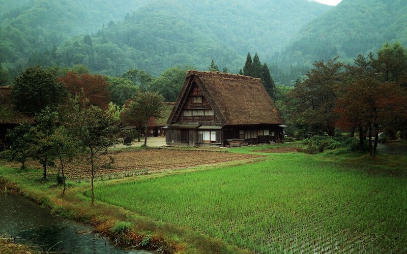 Thatched-roof House — Green, Serene, Morning, Photograph