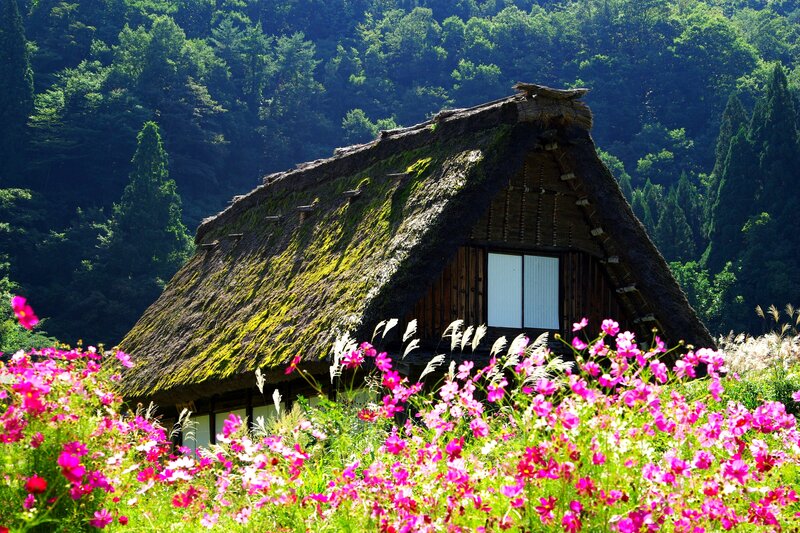 Thatched-roof House — Green, Serene, Summer, Photograph