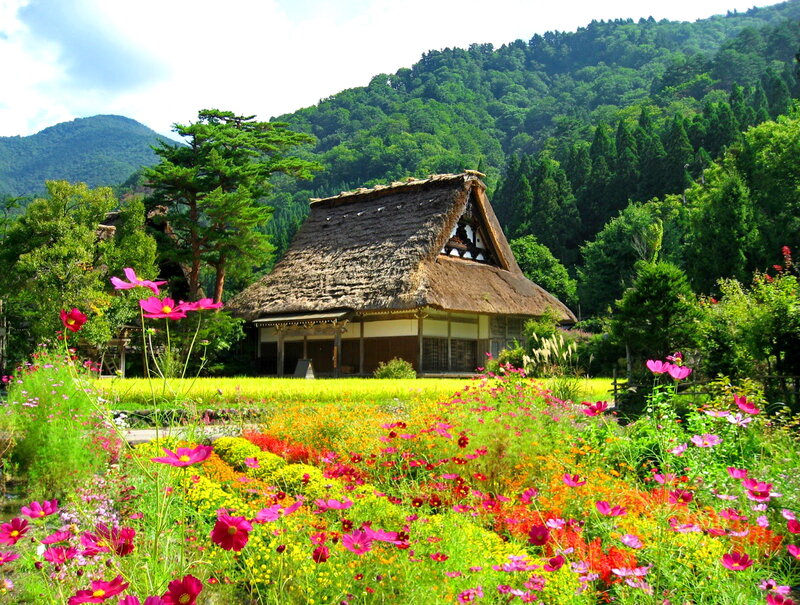 Thatched-roof House — Green, Serene, Summer