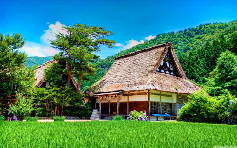 Thatched-roof House — Green, Serene