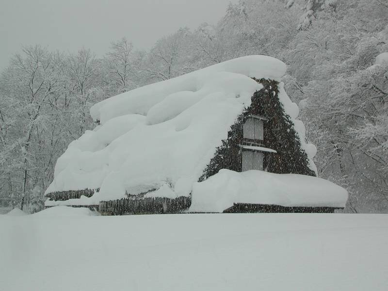 Thatched Roof House