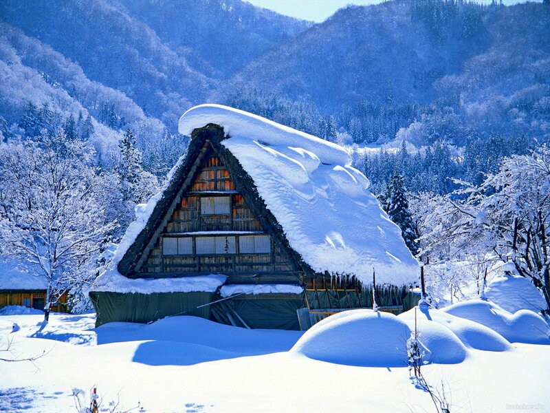 Thatched Roof House — White, Serene