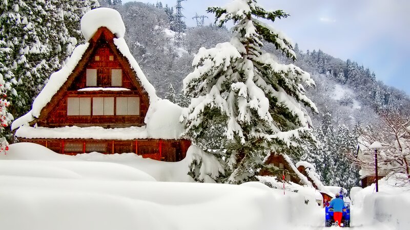 Thatched Roof House — White