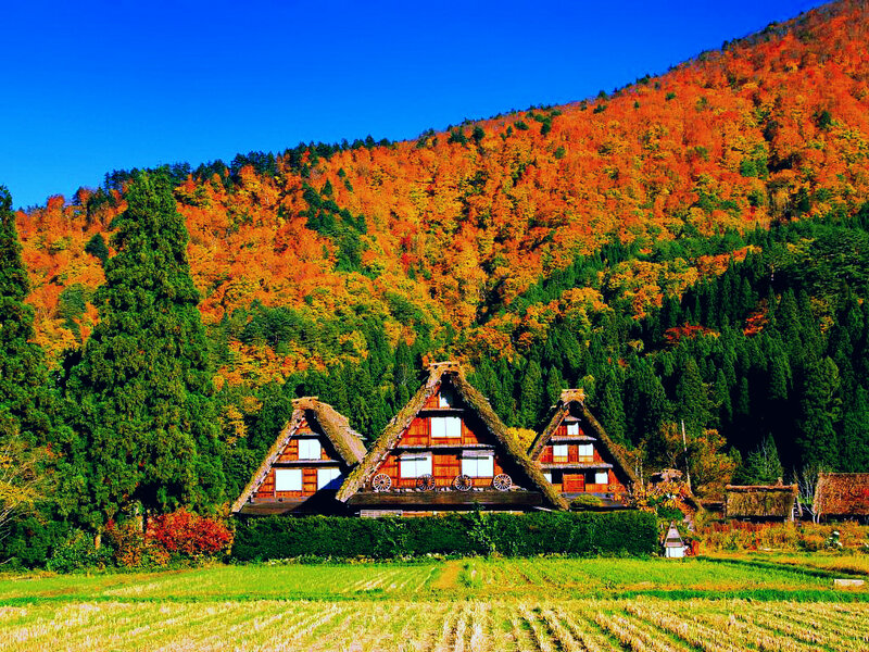 Thatched-roof Houses — Blue, Serene, Autumn