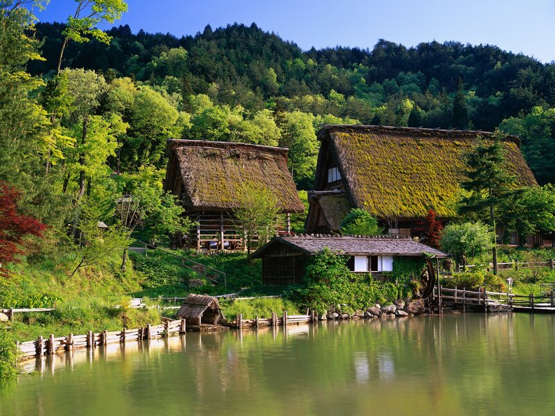 Thatched-roof houses by a lake