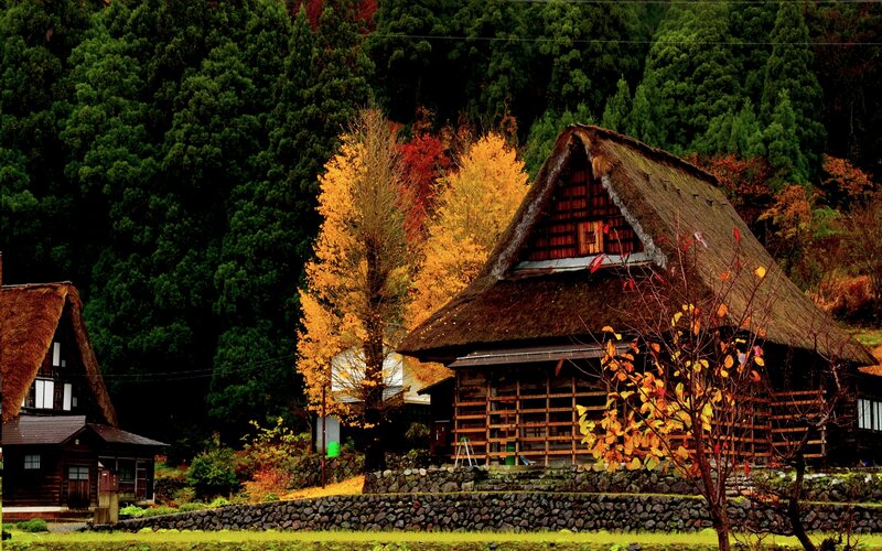 Thatched-roof Houses — Green, Serene, Autumn, Photograph