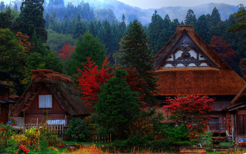 Thatched-roof Houses — Green, Serene, Autumn