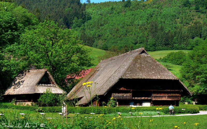 Thatched-roof Houses — Green
