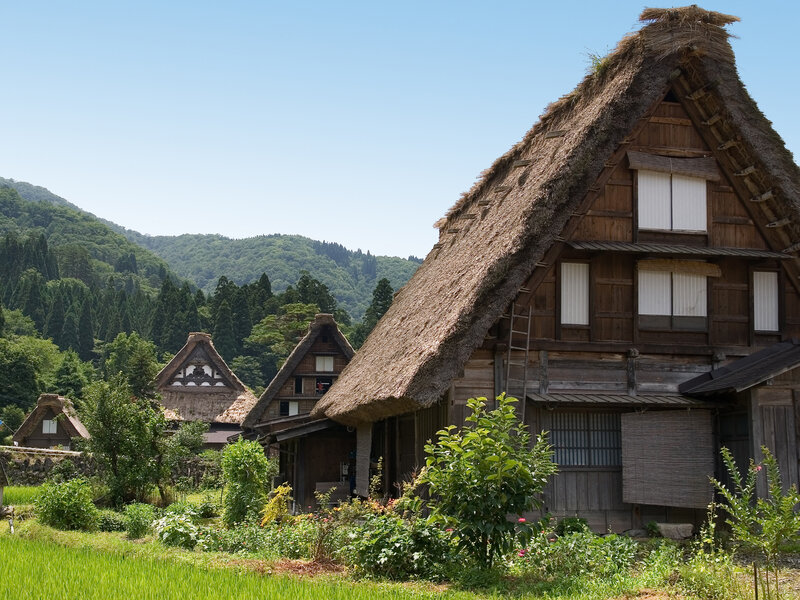 Thatched-roof houses in a rural village