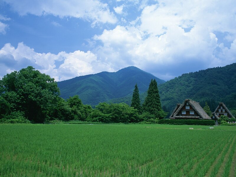 Thatched-roof Houses
