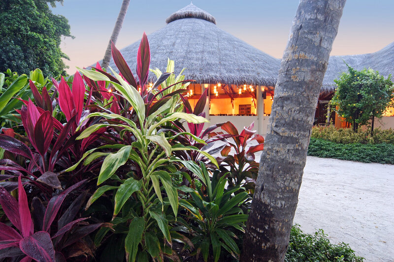Thatched-roof Hut at Dusk
