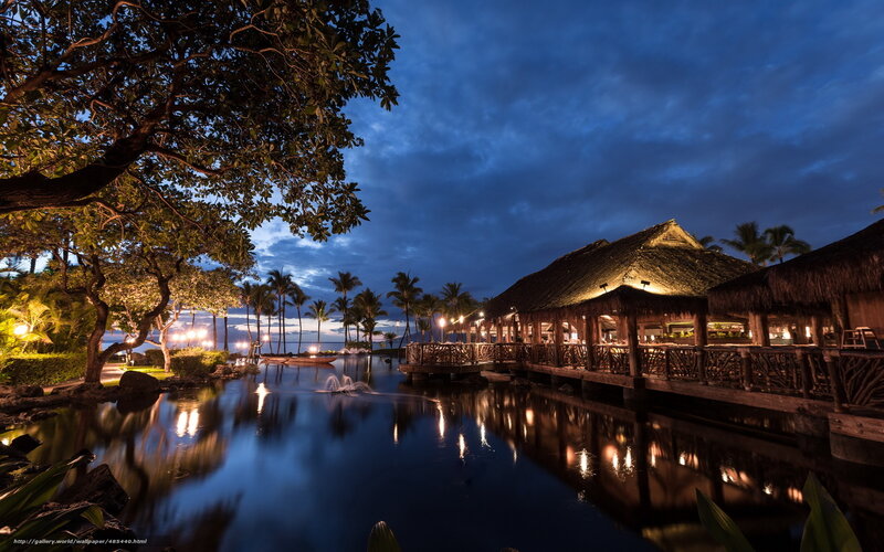Thatched-roof Hut at Night