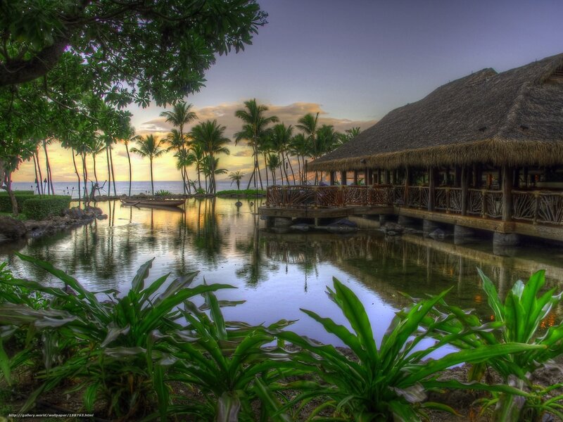 Thatched-roof Hut at Sunset — Green, Serene, Photograph