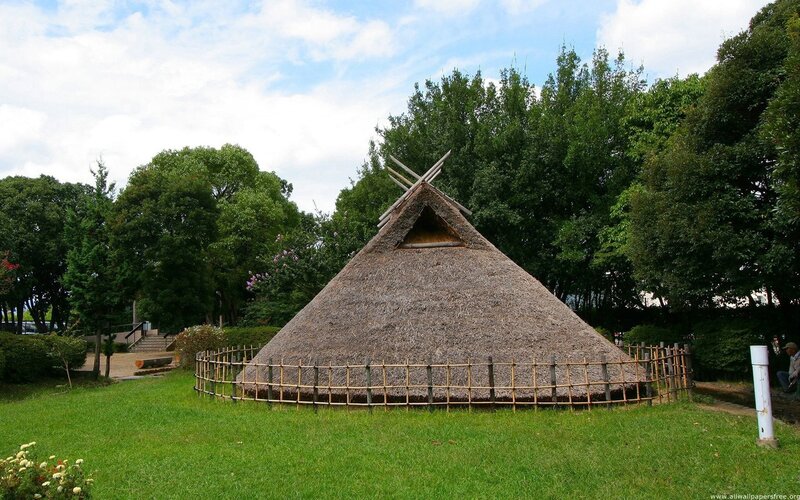 Thatched-roof Hut — Green, Serene, Afternoon, Photograph
