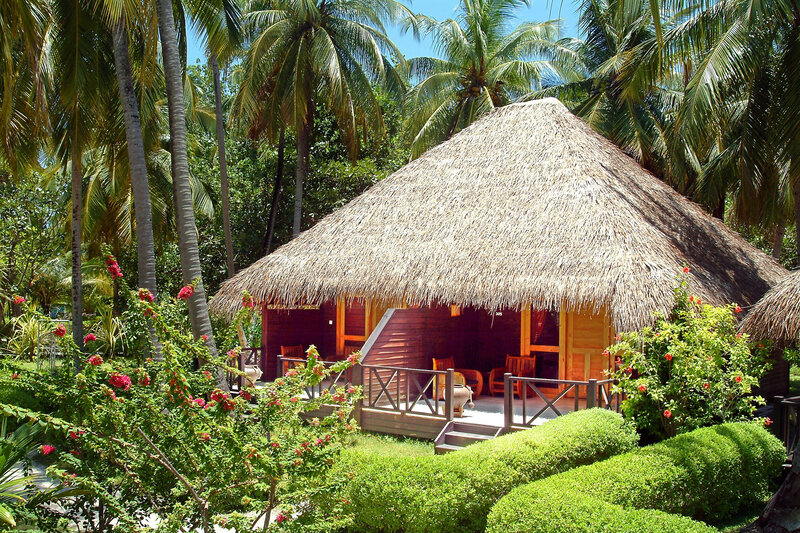 Thatched-roof Hut — Green, Tropical