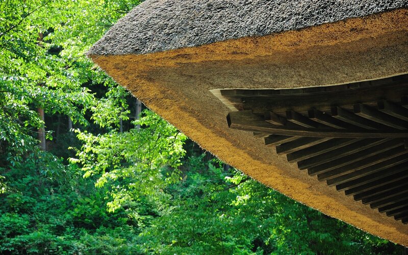 Thatched roof in forest