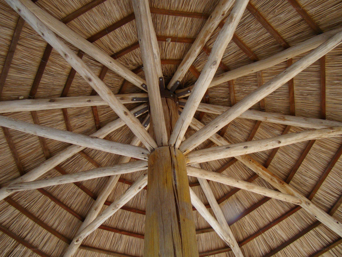 thatched roof interior