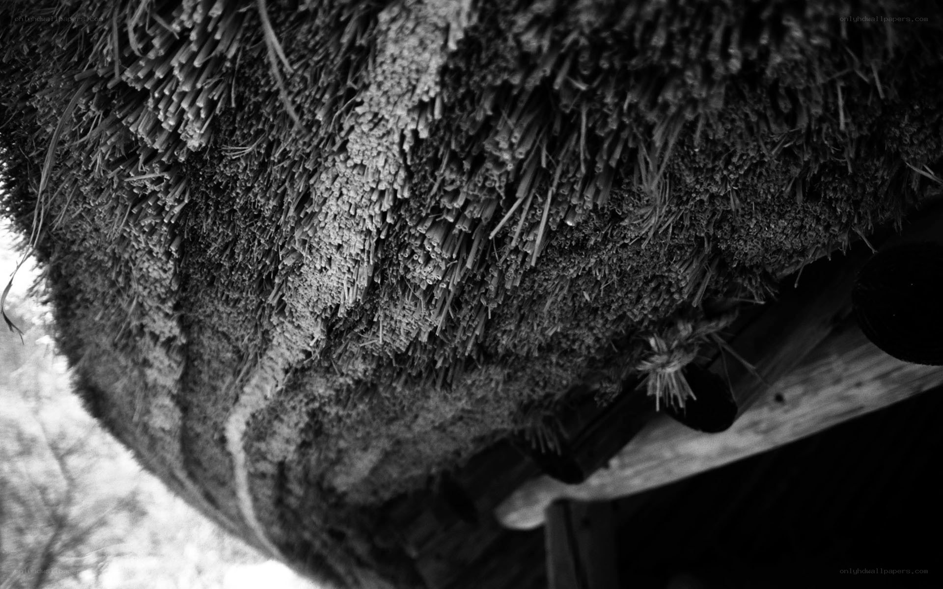 thatched roof texture