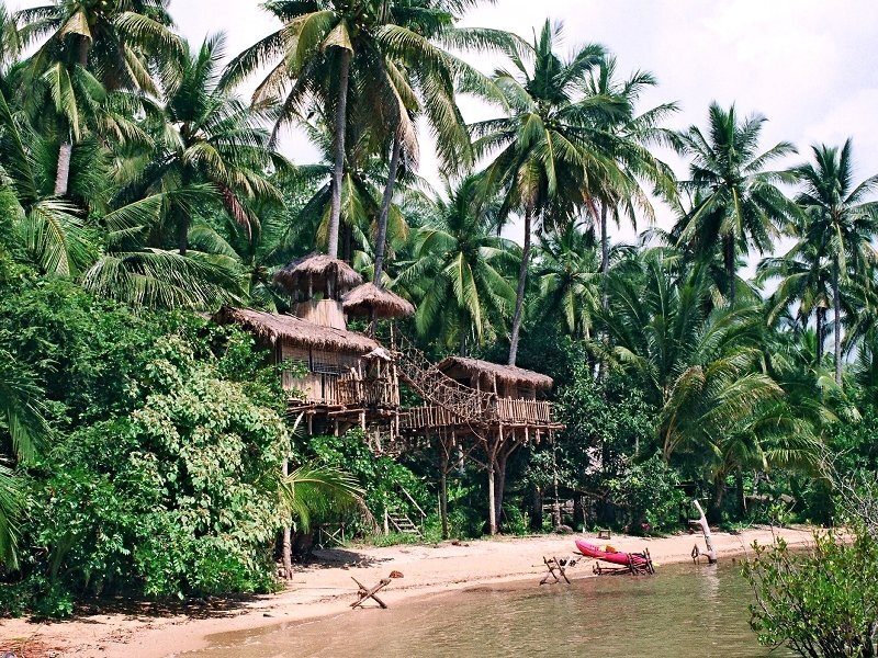 Thatched Tree Houses