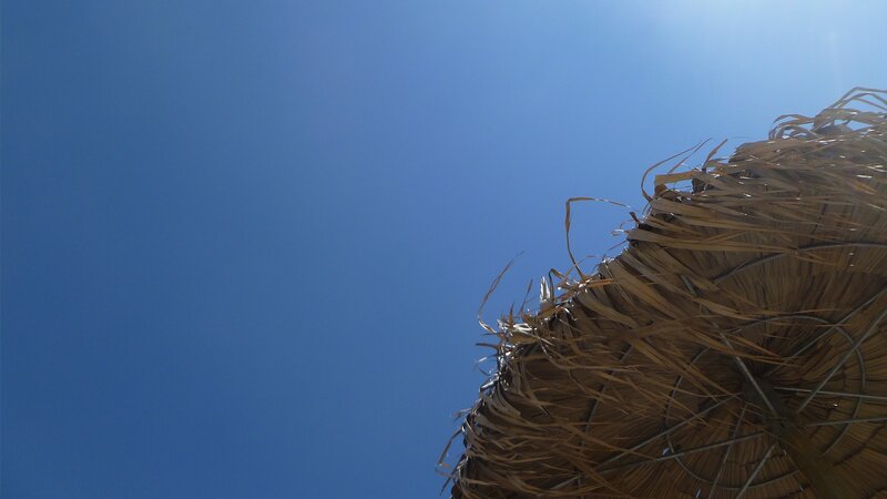 Thatched Umbrella Edge