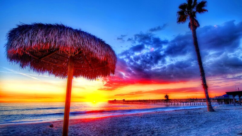 Thatched Umbrella on Beach — Blue, Dramatic, Sunset, Photograph, Palm Tree