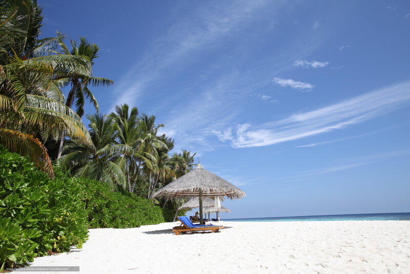 Thatched Umbrella on Beach — Blue, Serene, Afternoon, Photograph, Palm Trees