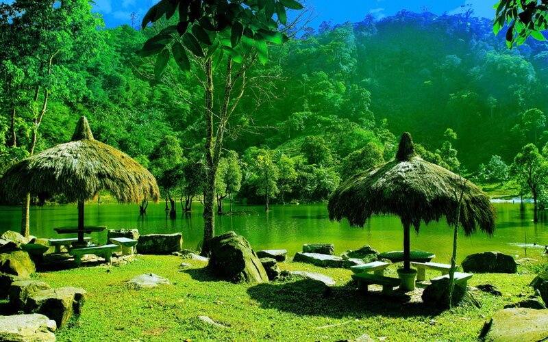 Thatched Umbrellas by Lake — Green