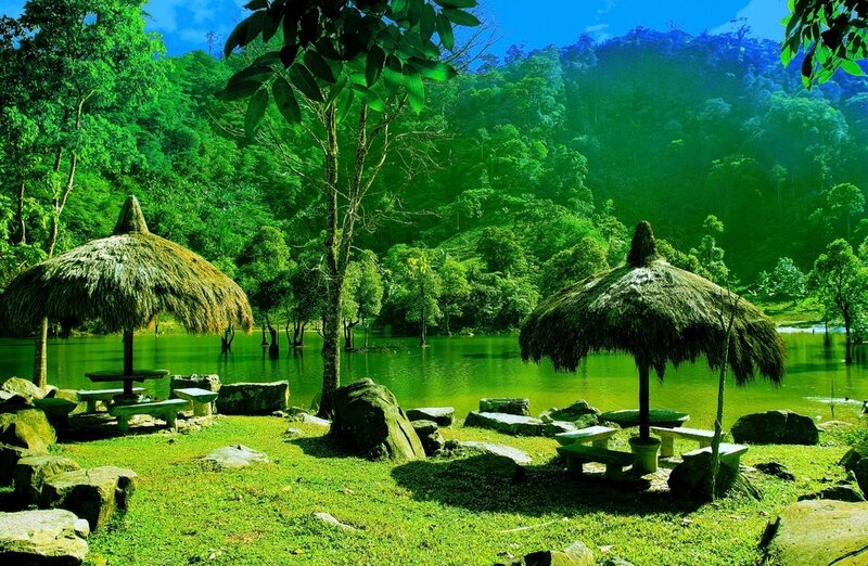 Thatched Umbrellas by Lake