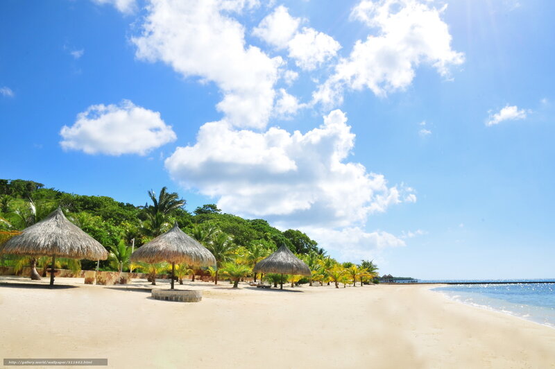 Thatched Umbrellas on Beach — Blue, Serene, Afternoon, Photograph, Palm Trees, Ocean