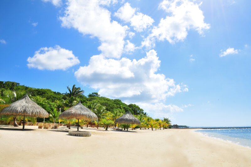 Thatched Umbrellas on Beach — Blue, Serene, Afternoon, Photograph, Palm Trees
