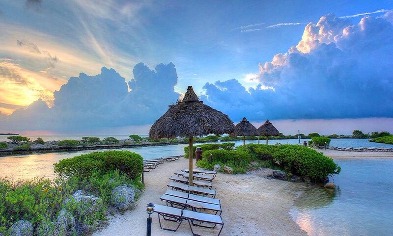 Thatched Umbrellas on Beach — Blue, Serene, Sunset, Photograph, Loungers