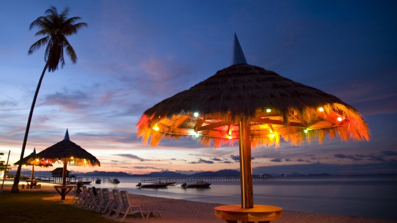 Thatched Umbrellas on Beach — Blue, Serene