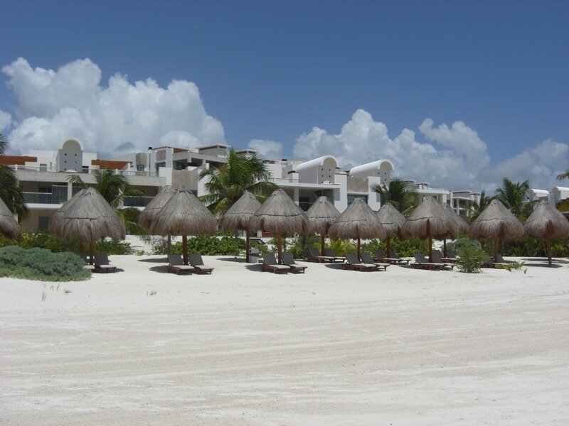 Thatched Umbrellas on Beach — White, Serene
