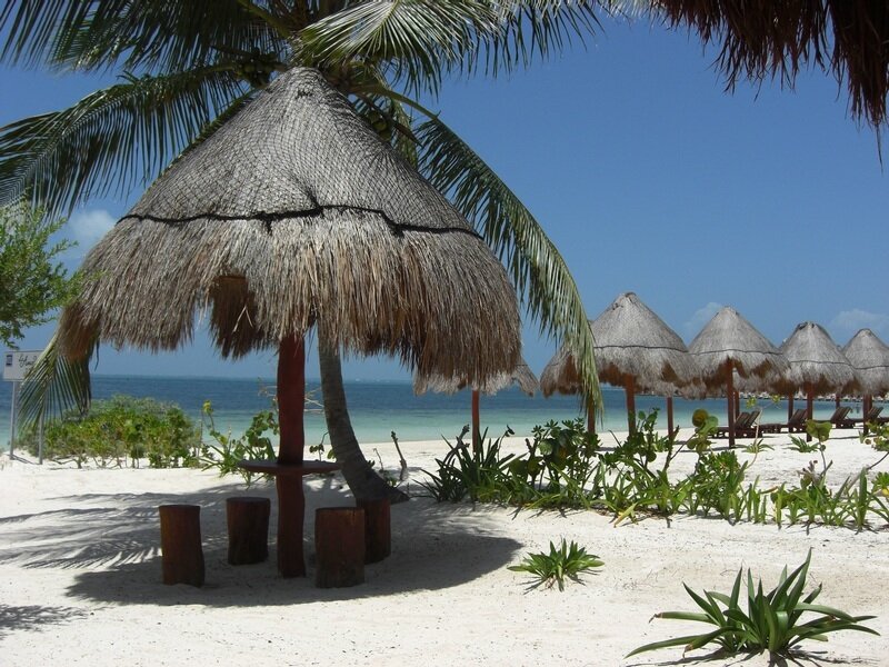 Thatched Umbrellas on Beach — White
