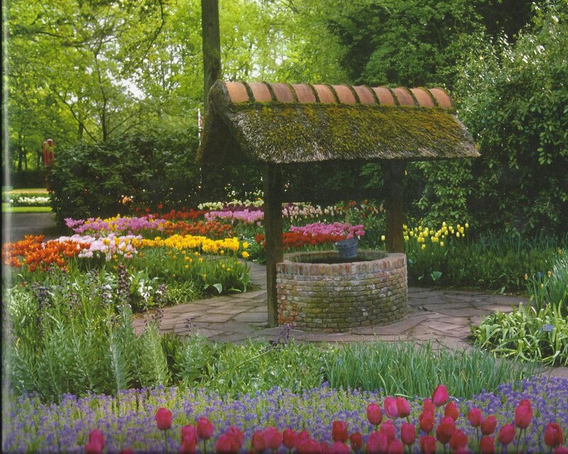 Thatched Well in Garden