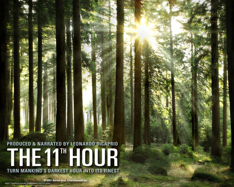 The 11th Hour